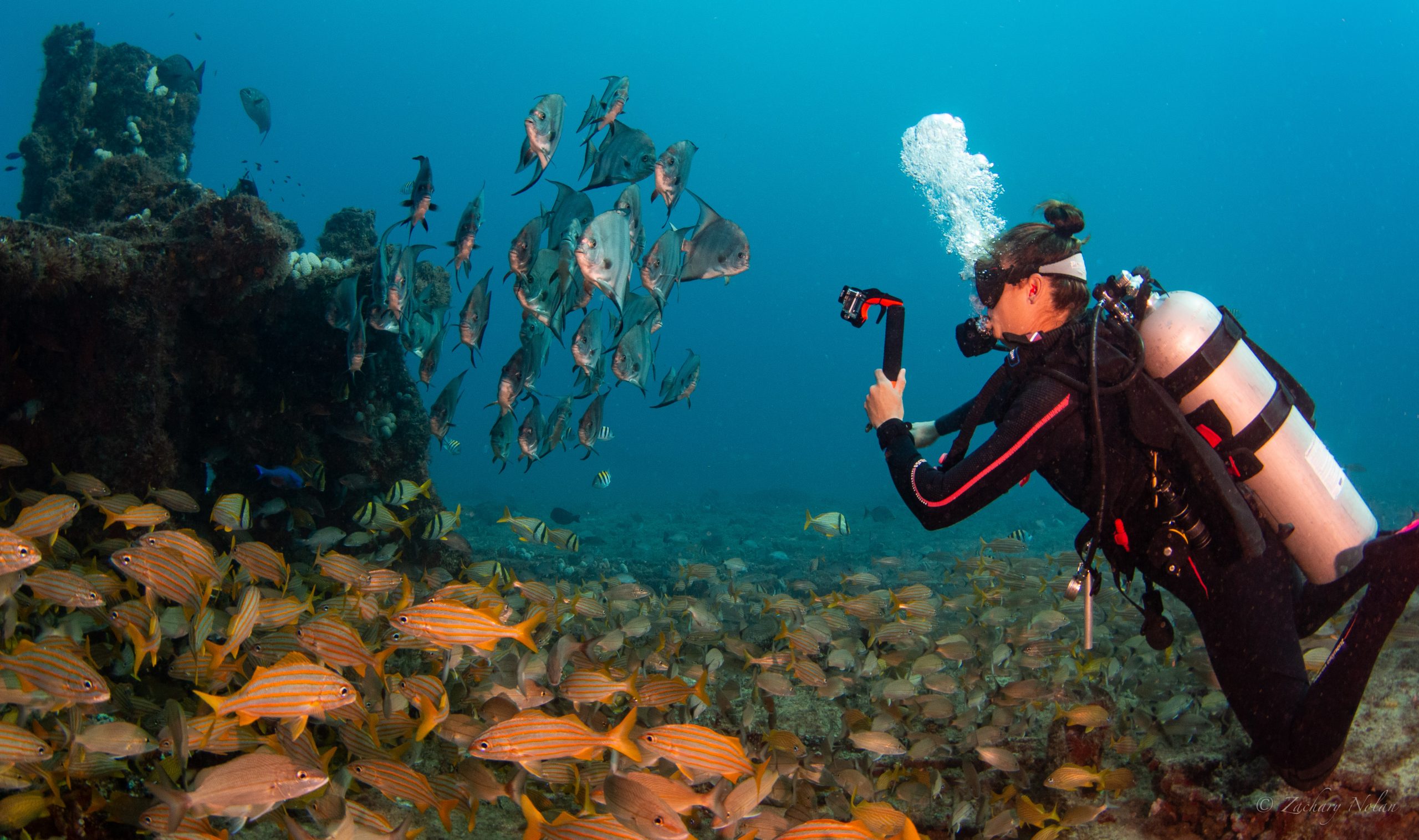 Digital Underwater Photography - Scuba