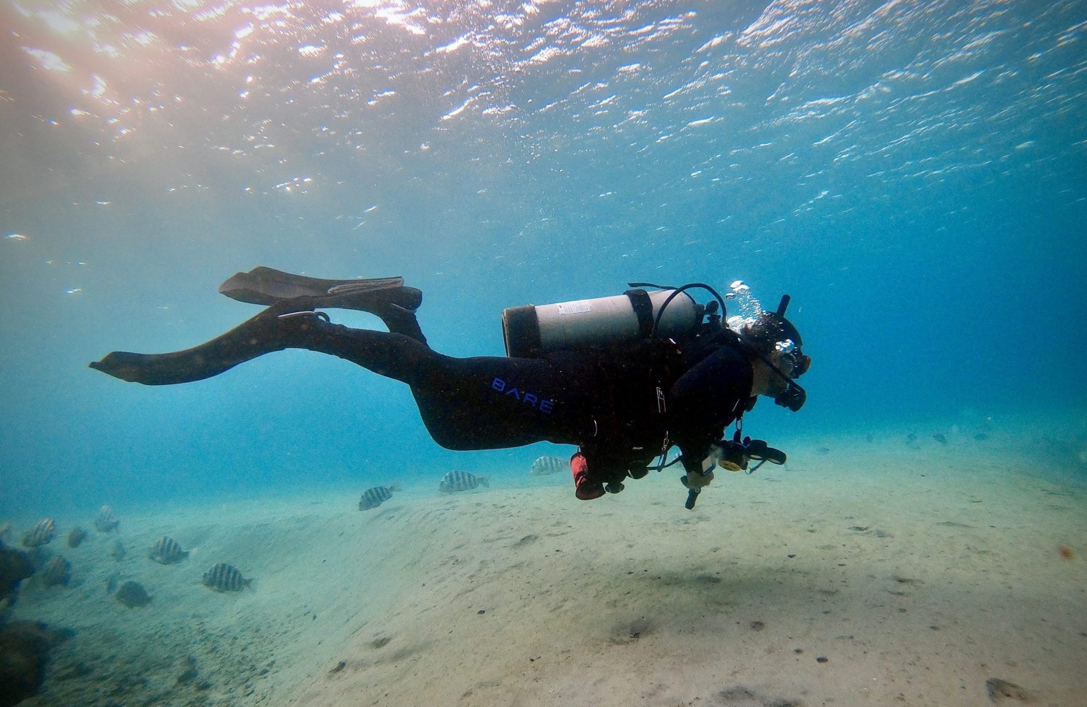 PADI Pro, Divemaster, Scuba Instructor