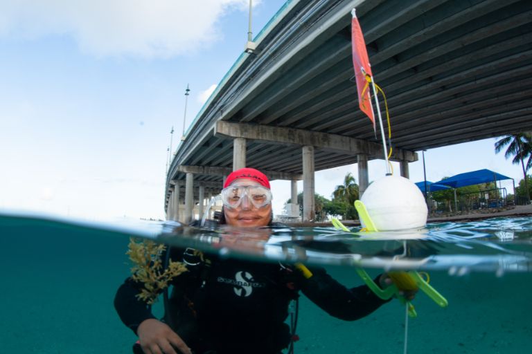 divemaster course