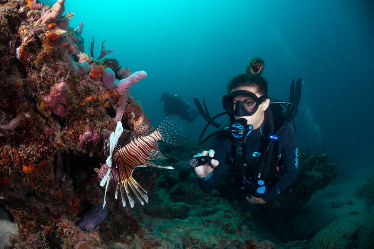 divemaster course